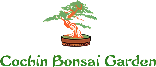Cochin Bonsai Garden