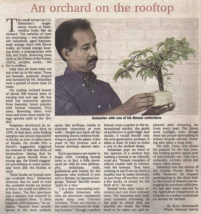 The Hindu, 2004: An orchard on the rooftop