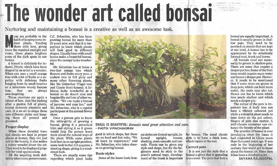 The Hindu, 2006: The wonder art called bonsai