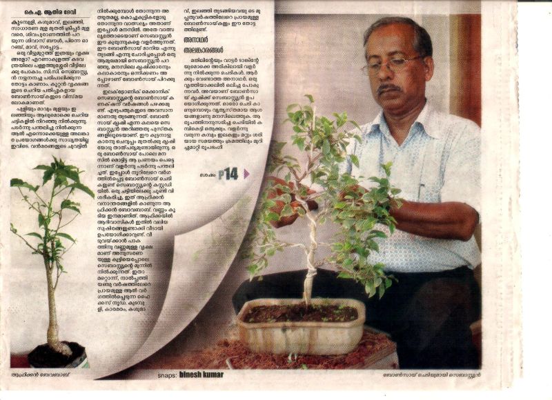 Metro Vartha feature, 2011